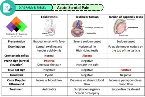 testicular torsion reflex test|testicular torsion signs on examination.